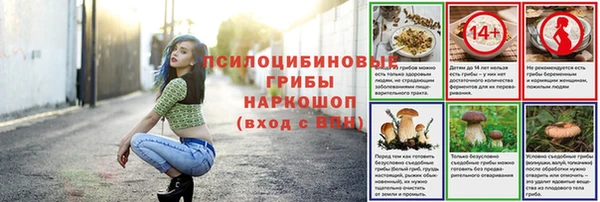 скорость Абаза